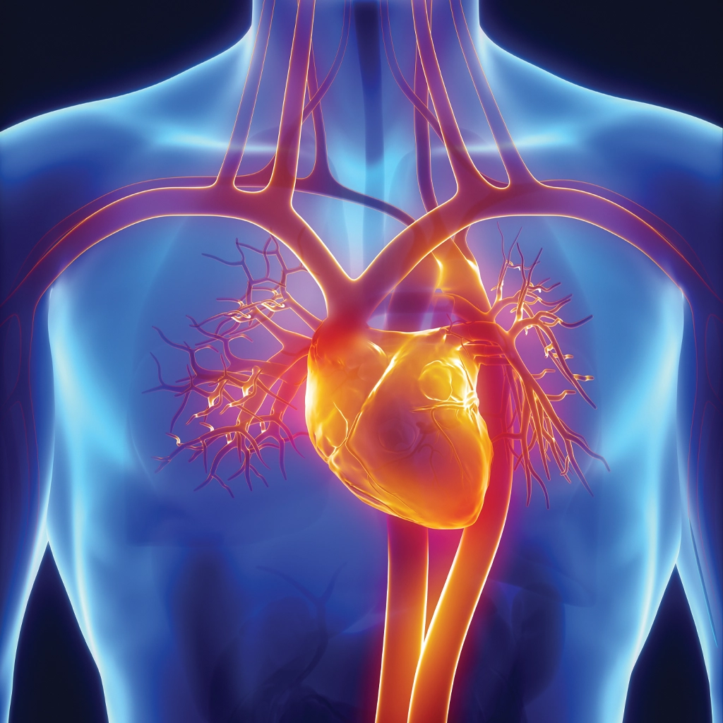 Coronary CT Angiography