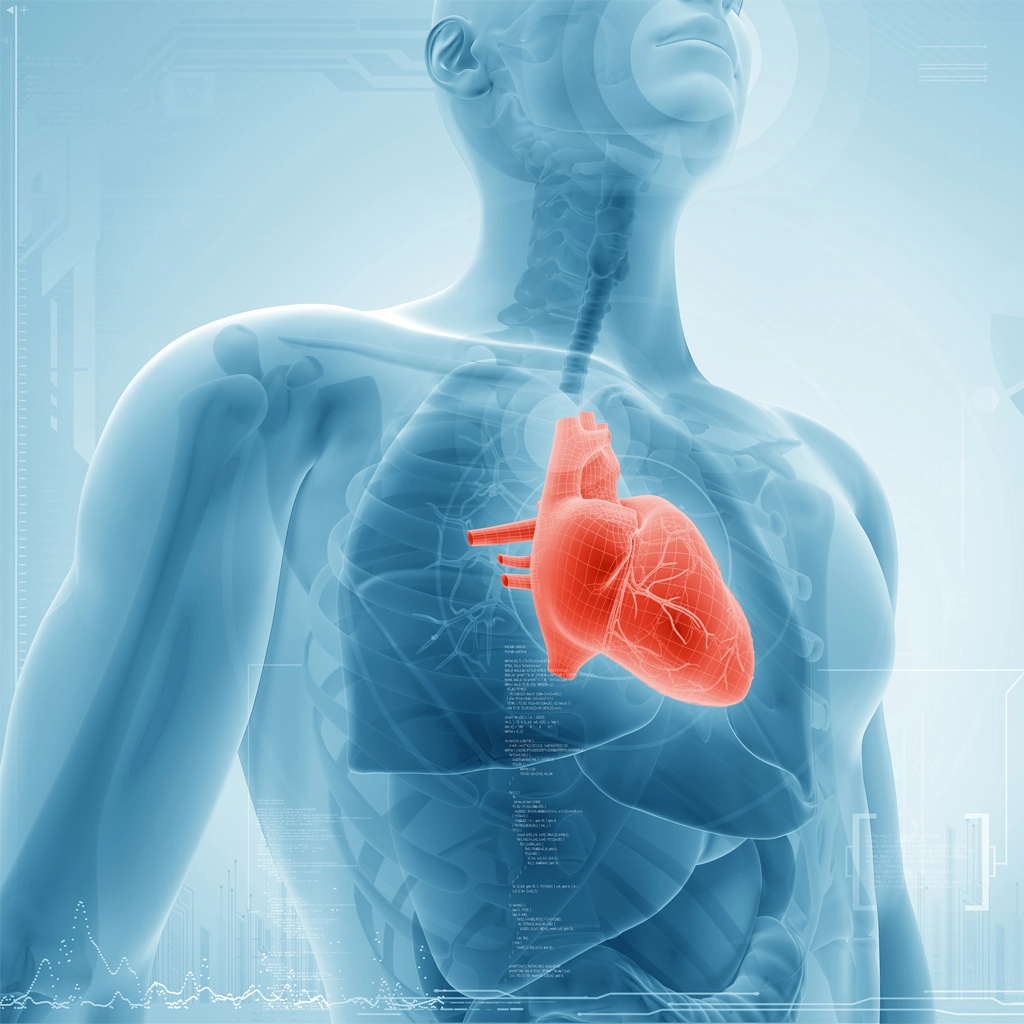 cardiac CT calcium score